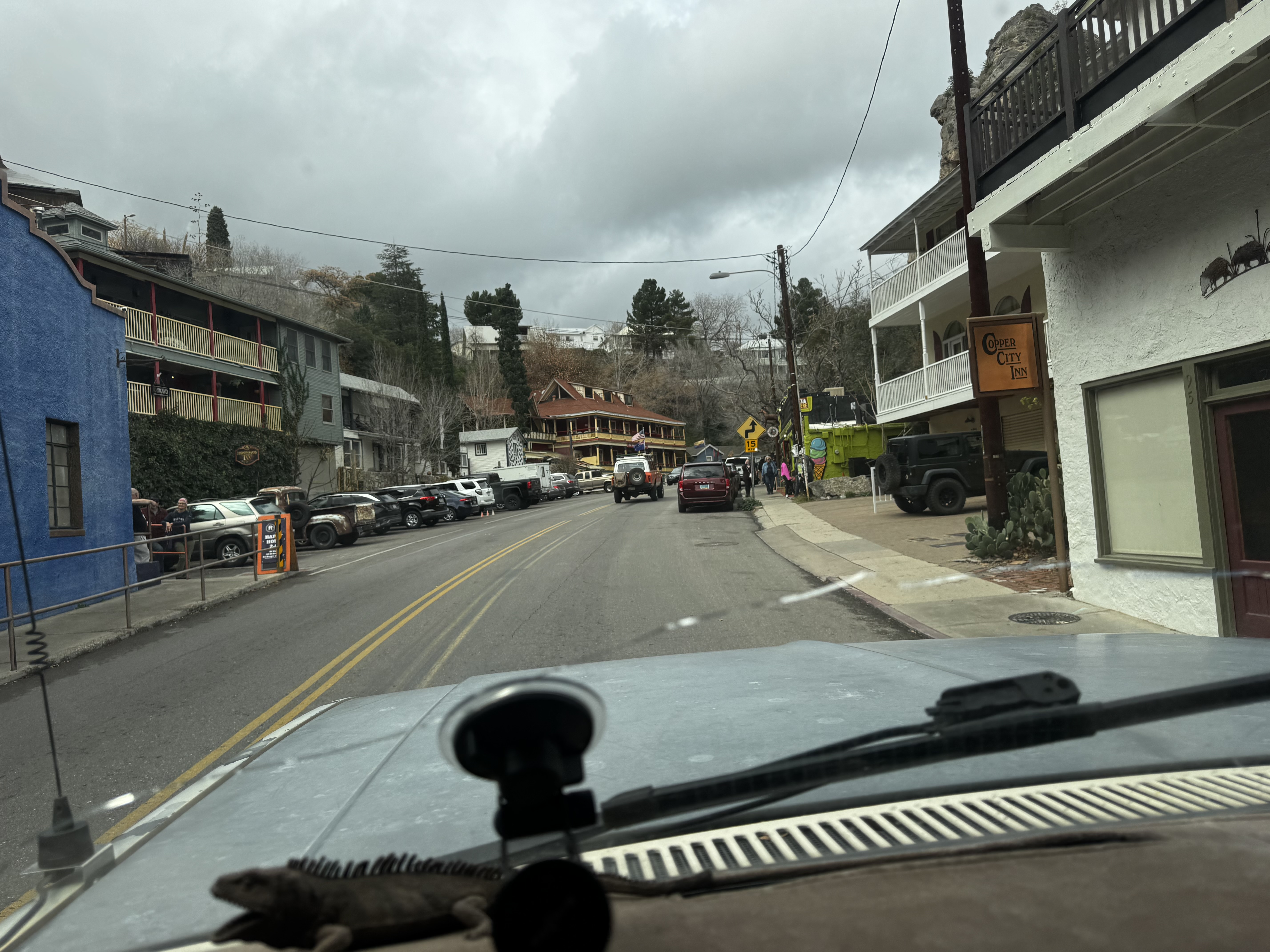 IMG_4241.jpeg