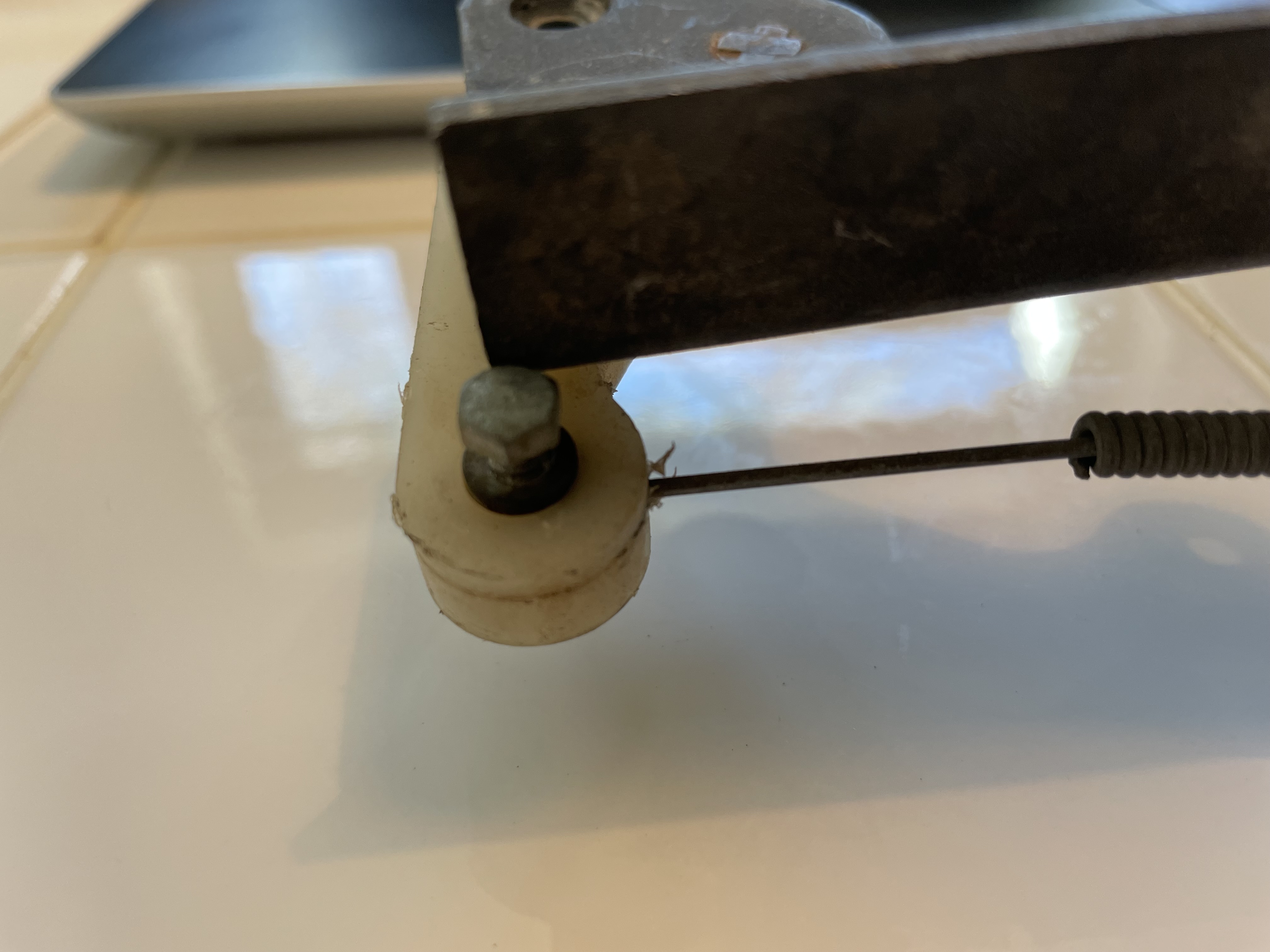 IMG_6600.jpeg