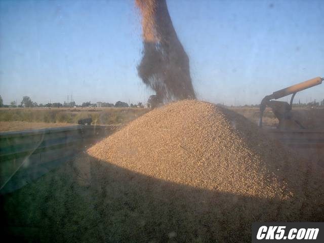 incoming rice