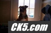 KAOS