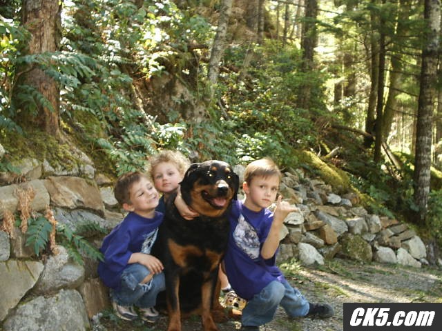 Kids_N_Dog