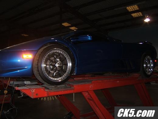 lambo5