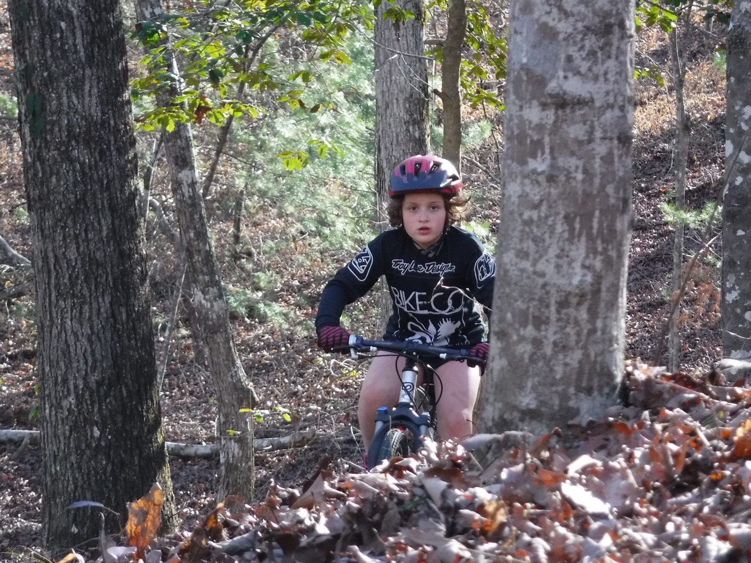 Little one shredding BSF