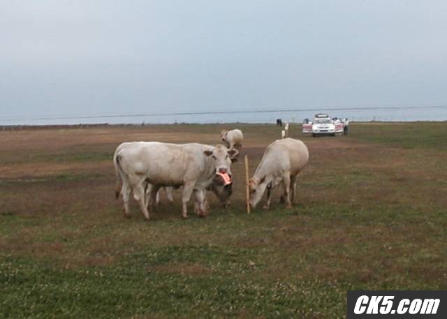 Locals_2