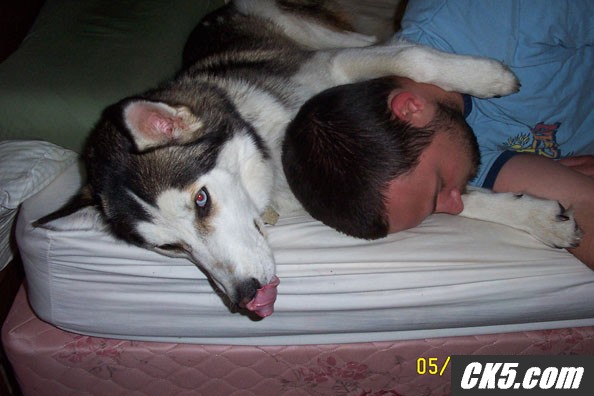 loki3