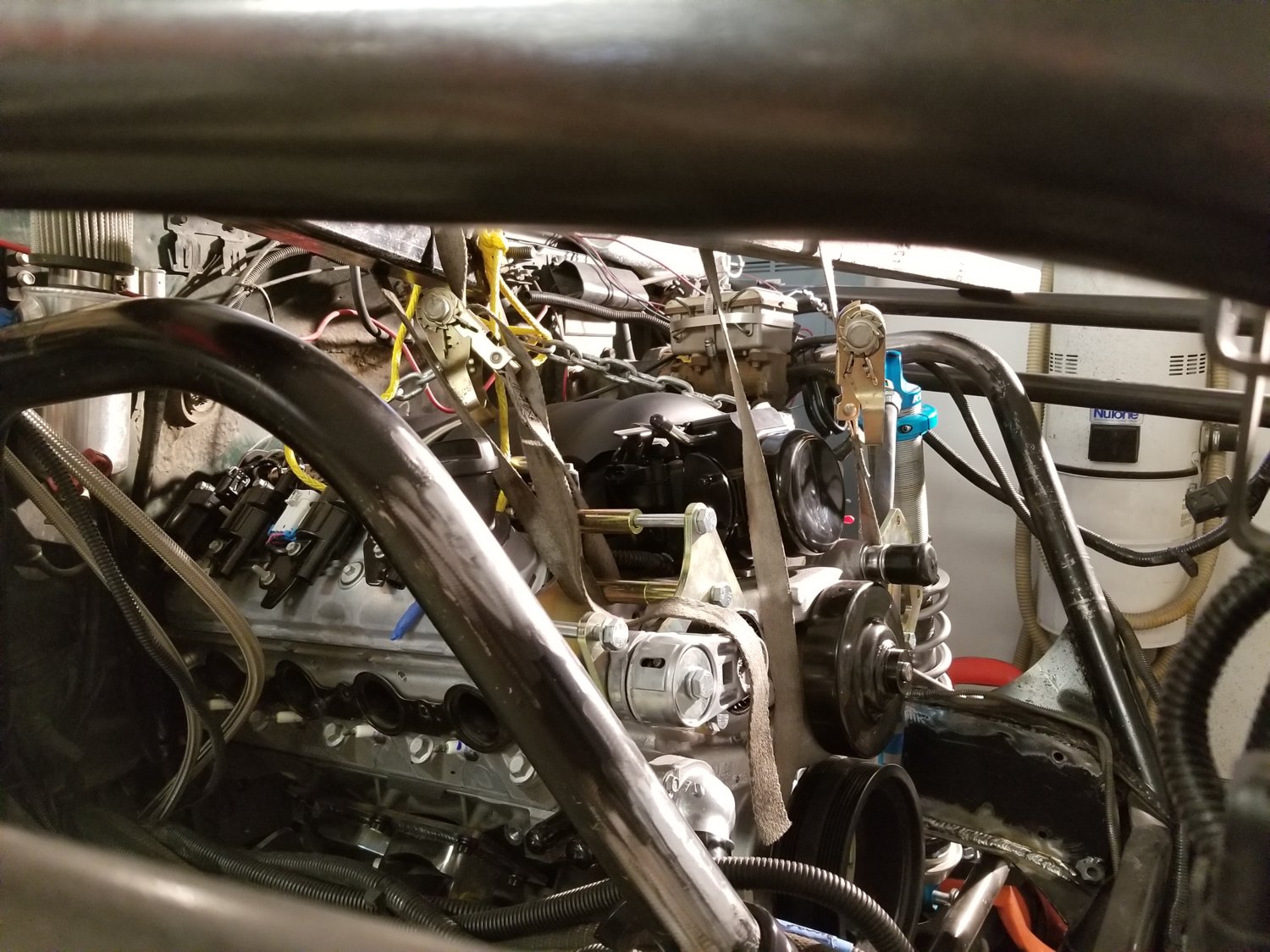 LS3-6