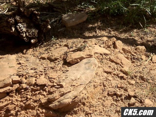 moab 07