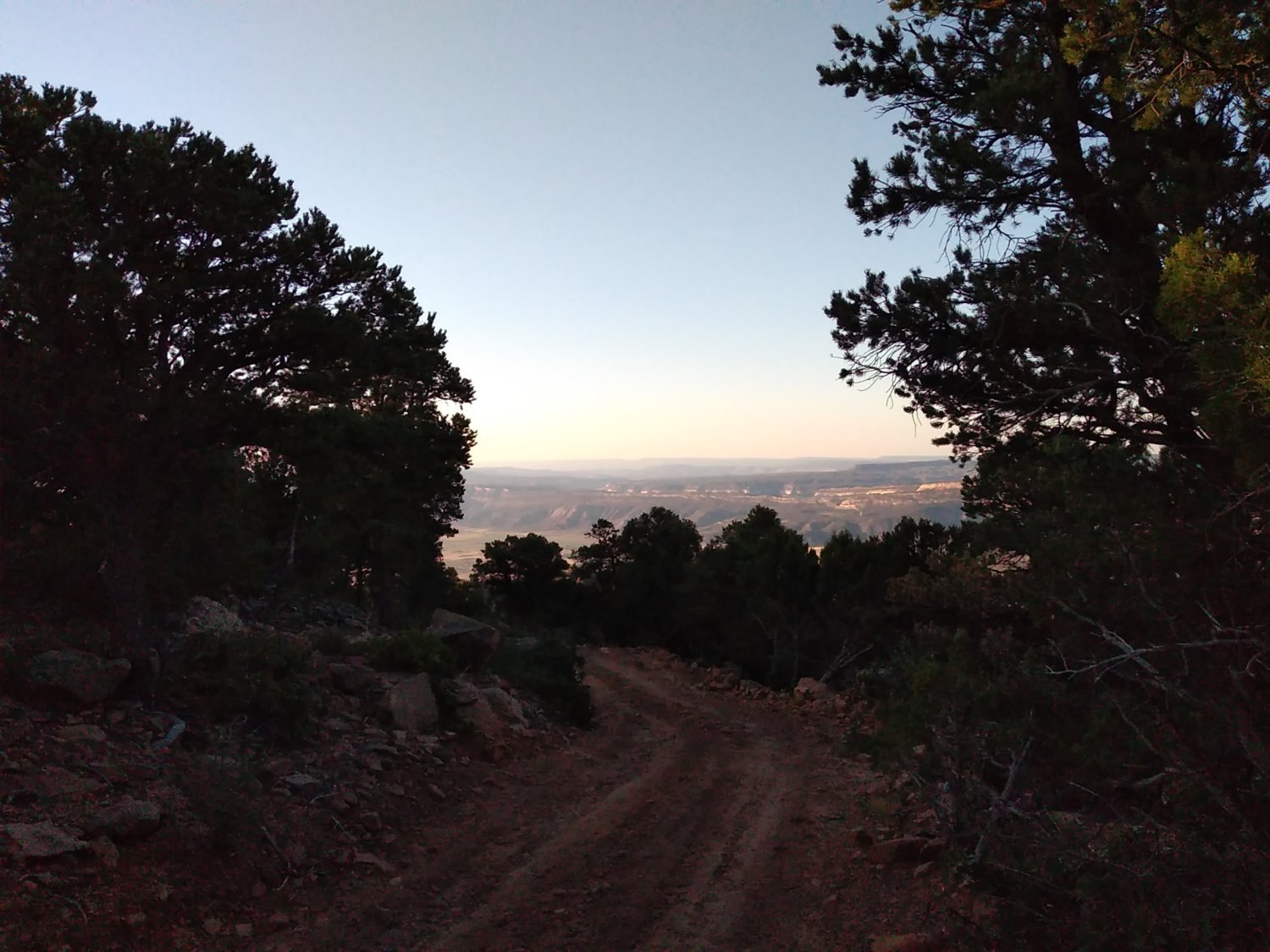 Morning view