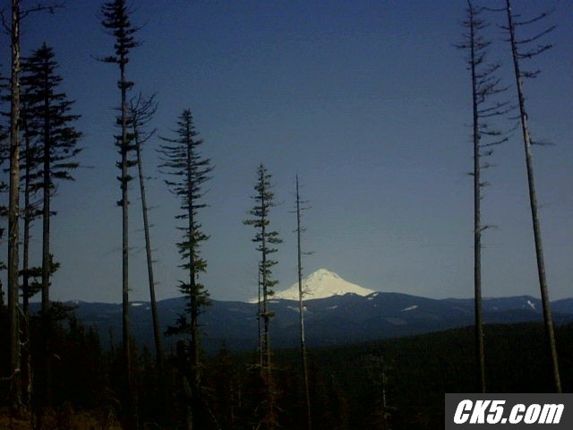 mt_hood_from_goat_mt