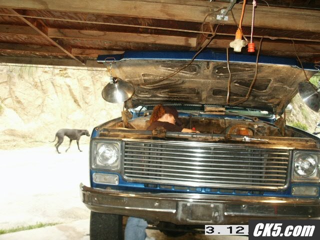 My K20 ATE MY WIFEY!!!