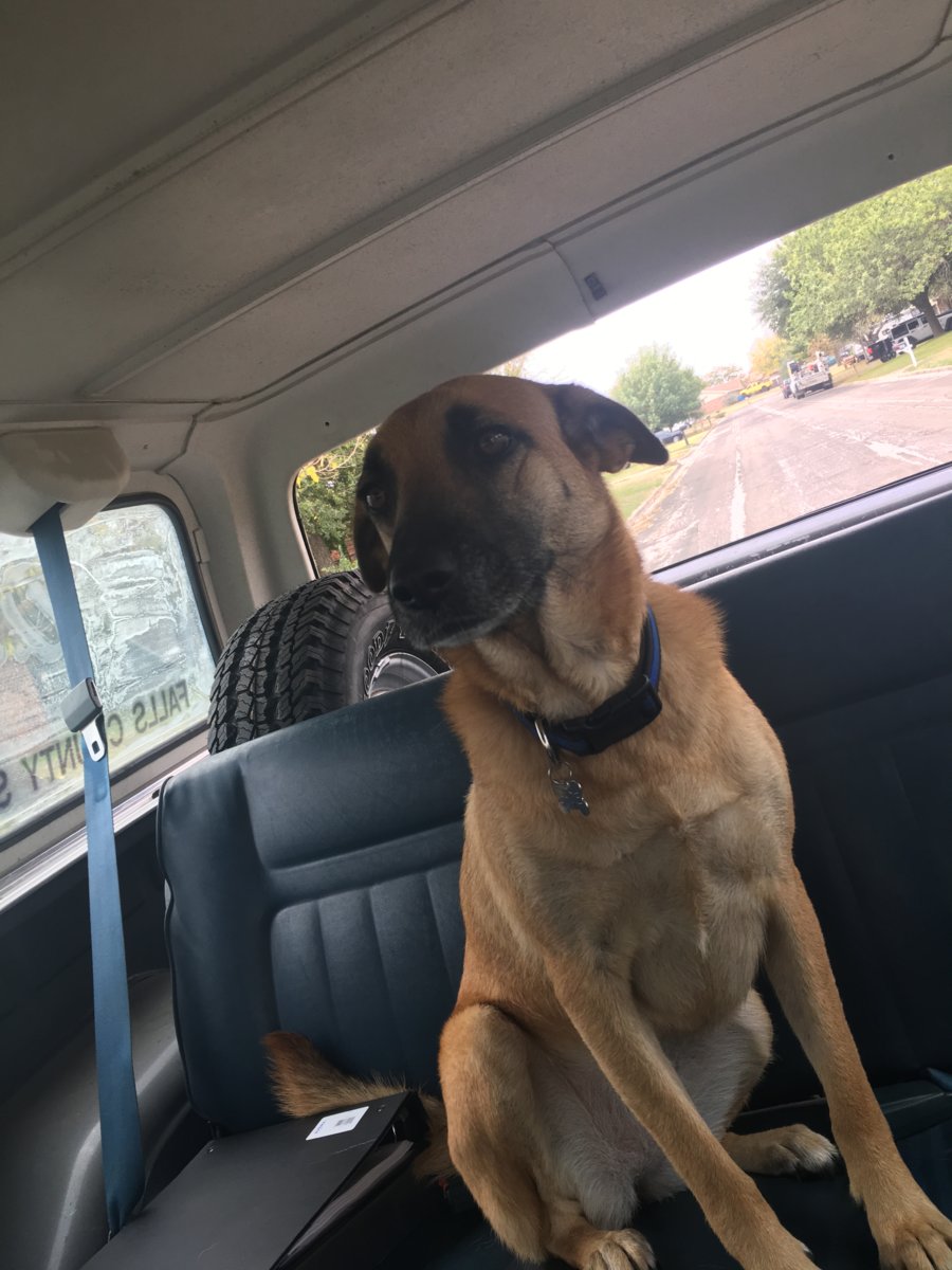 My ride or die