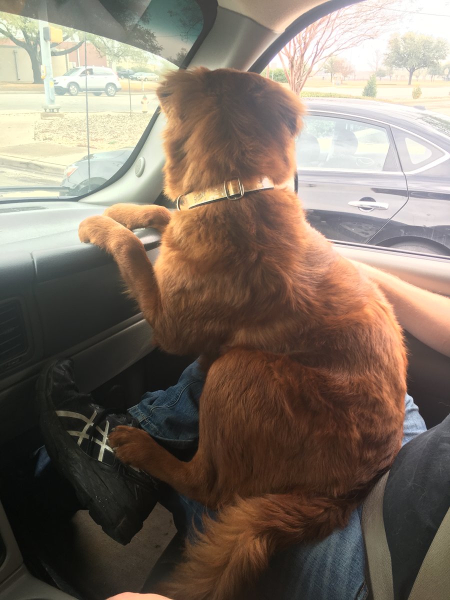 Navigator