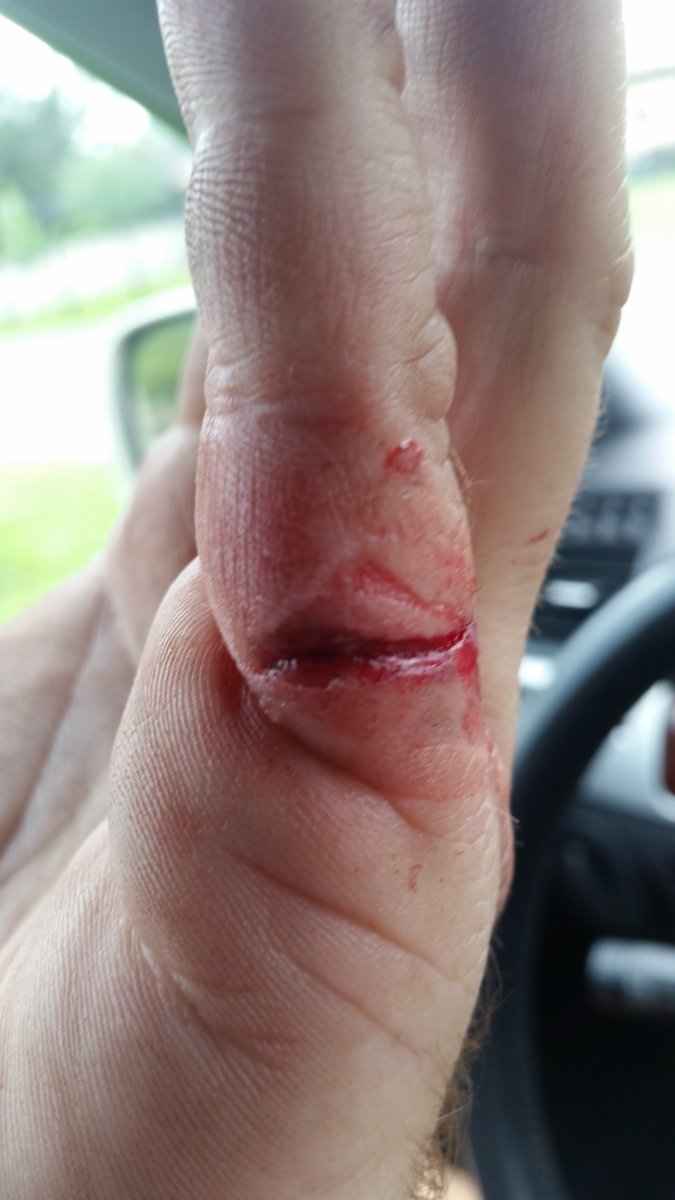 nice cut