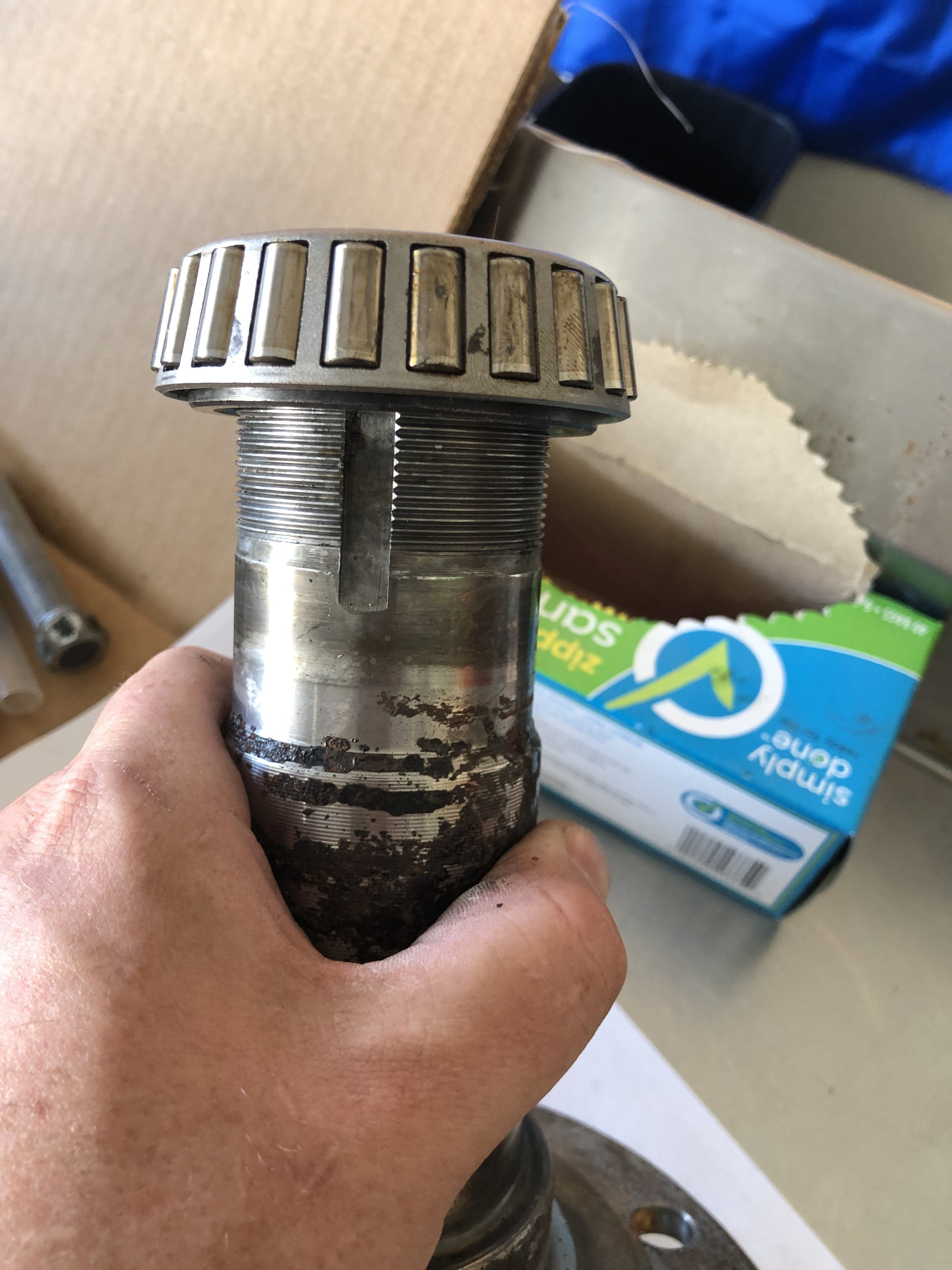 oblong spindle