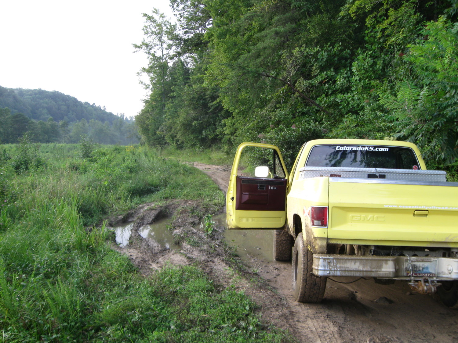 Out in the woods