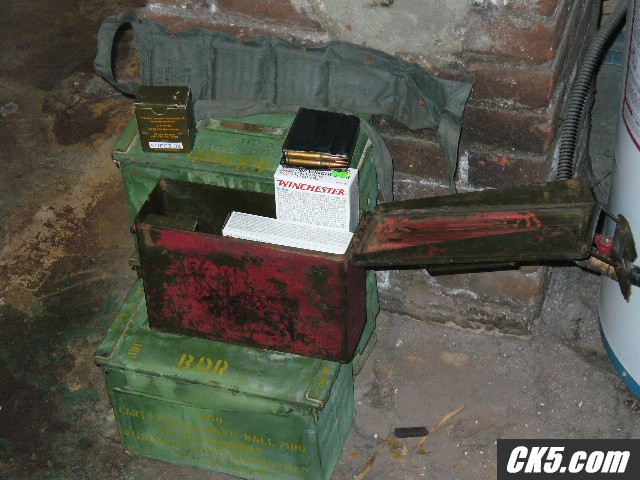 P10004361