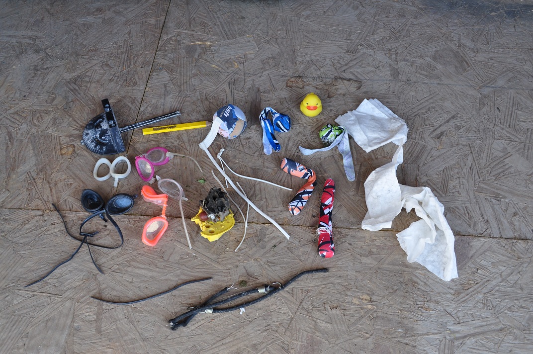 Pack rat theft