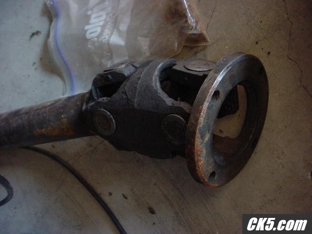 Picture0241