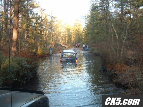 Picture20012-vi