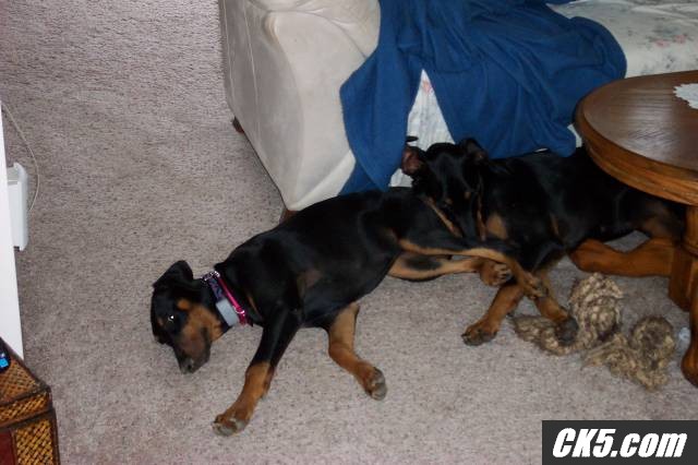 Picture_078