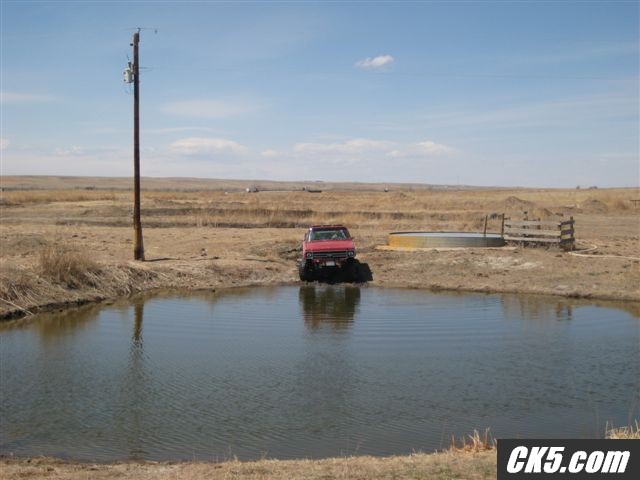 Picture_197