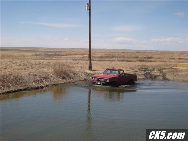 Picture_198