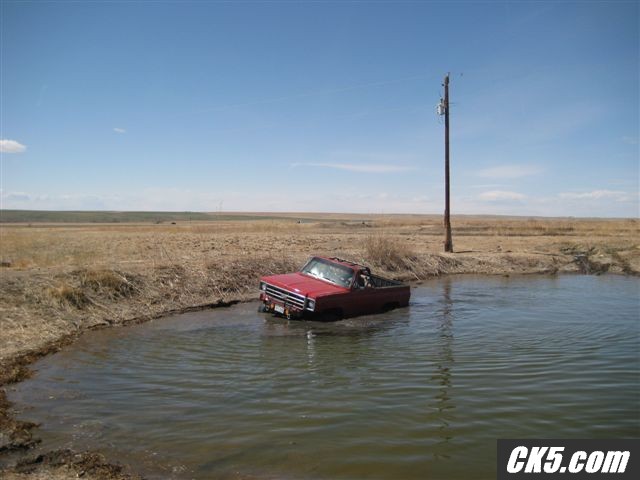 Picture_199