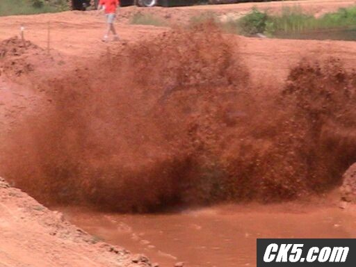 Pine Lane Mudd Bogg