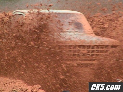 Pine Lane Mudd Bogg