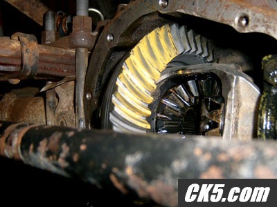 pinionf_004_copy