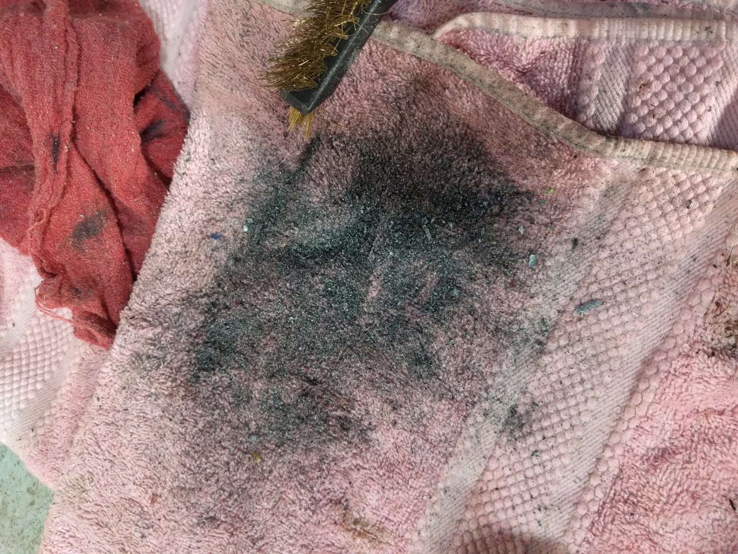 Plate Remains