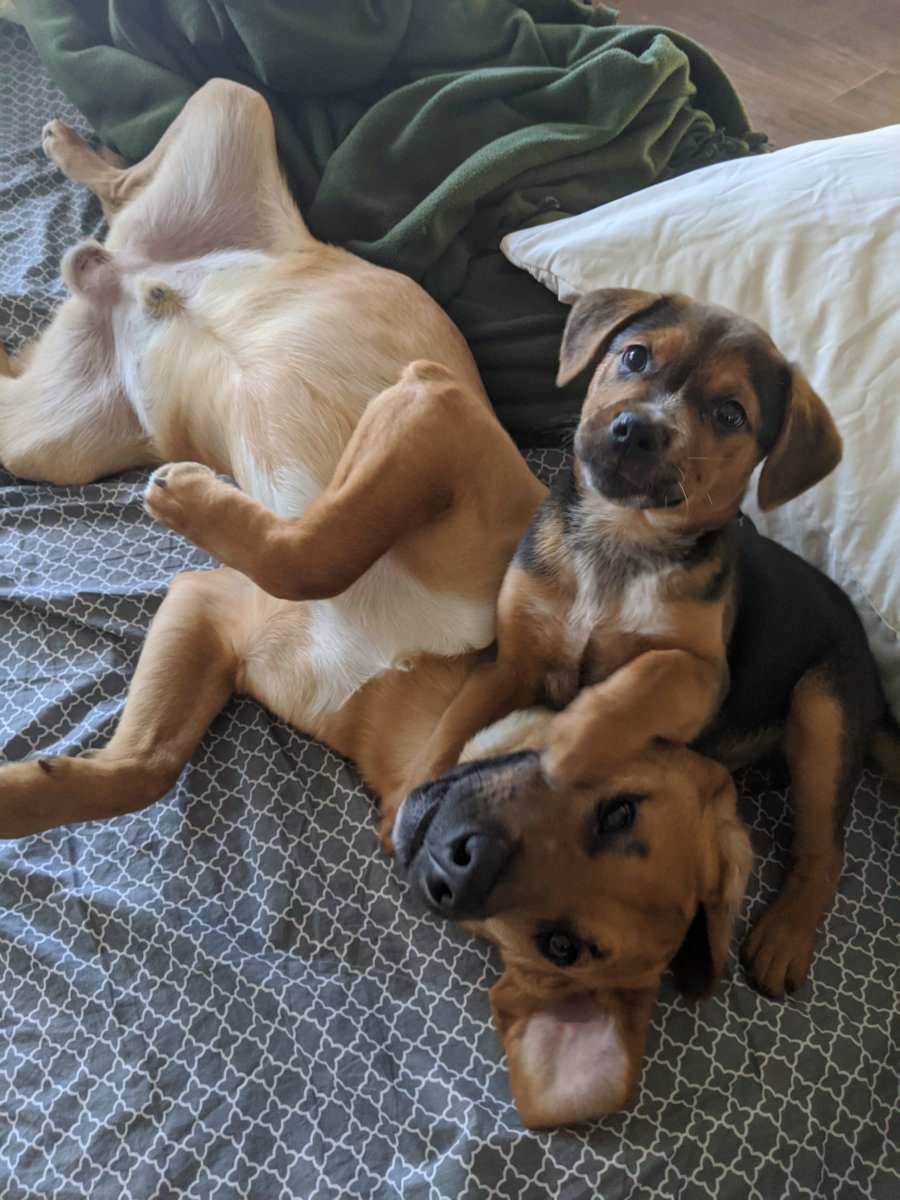 Playing and posing