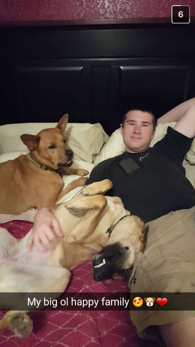 Pups