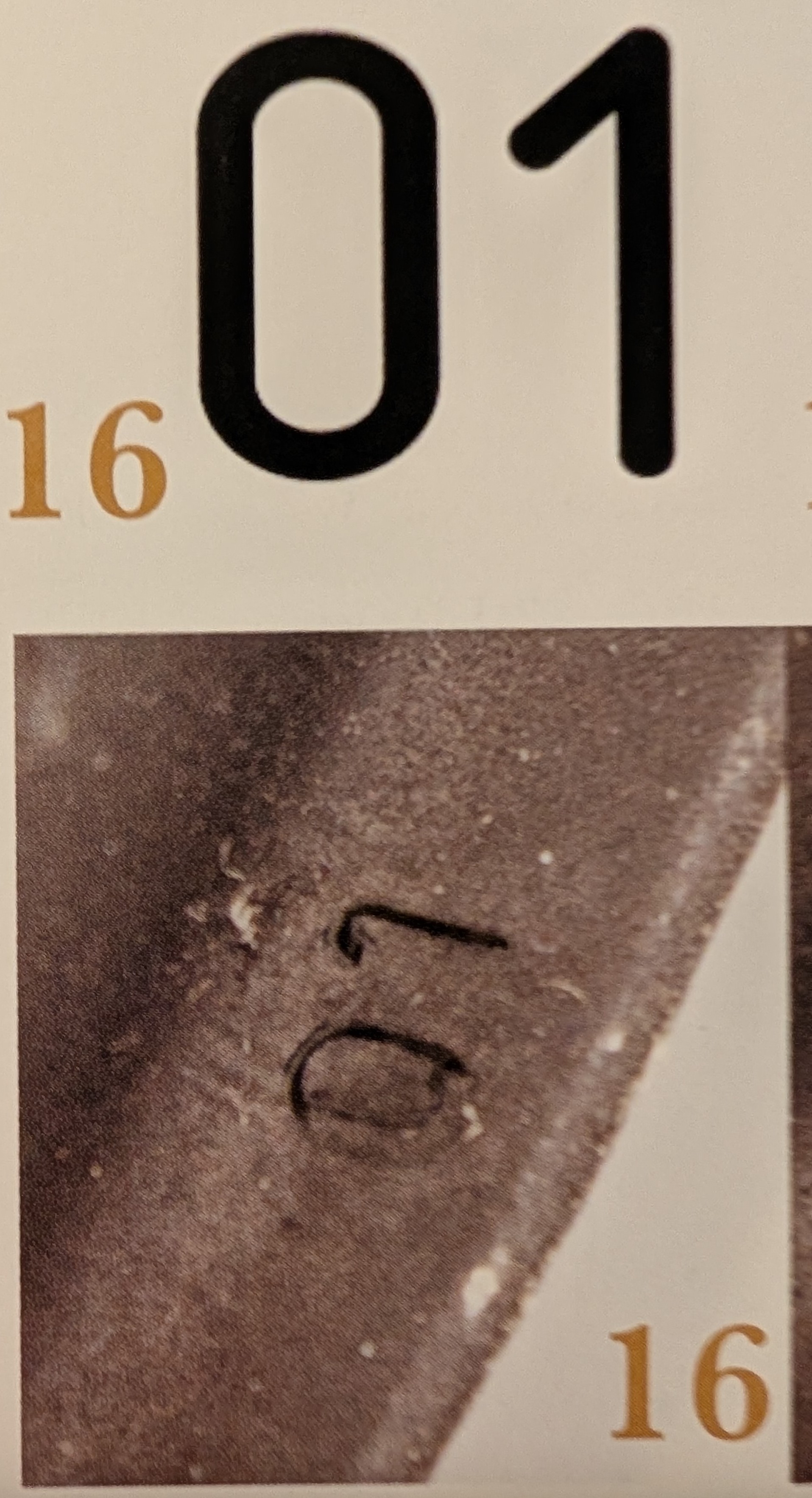 PXL_20250403_004933934.jpg