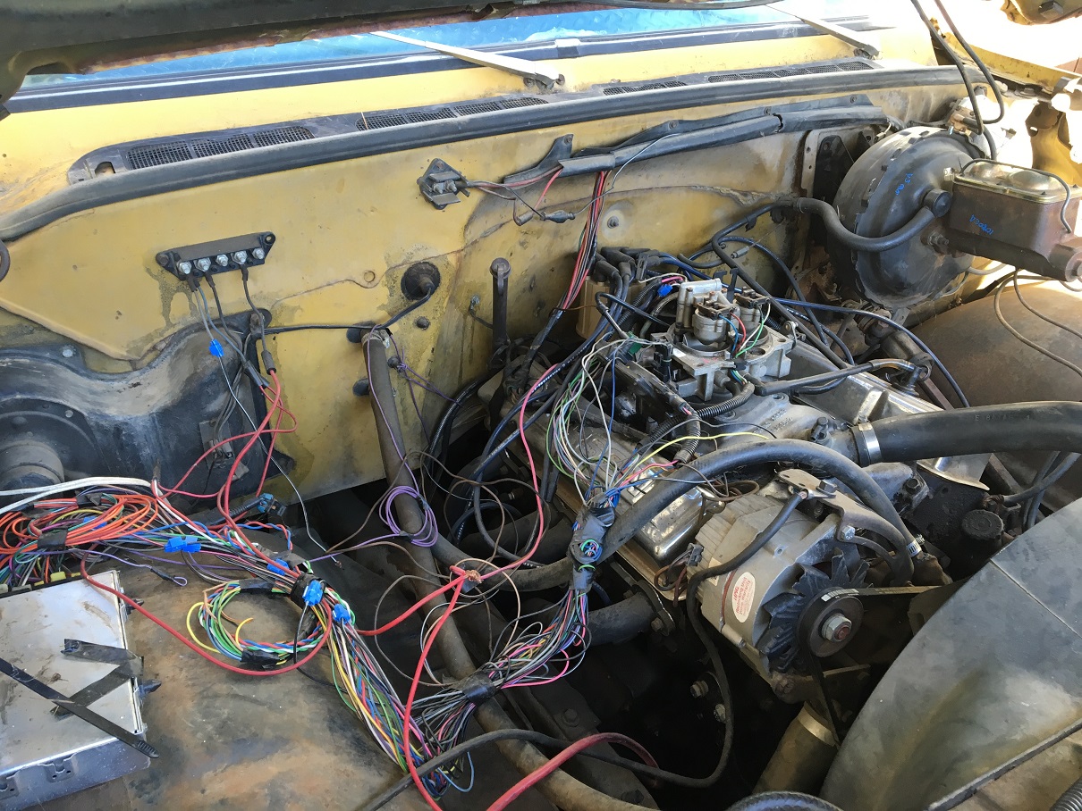 rats nest