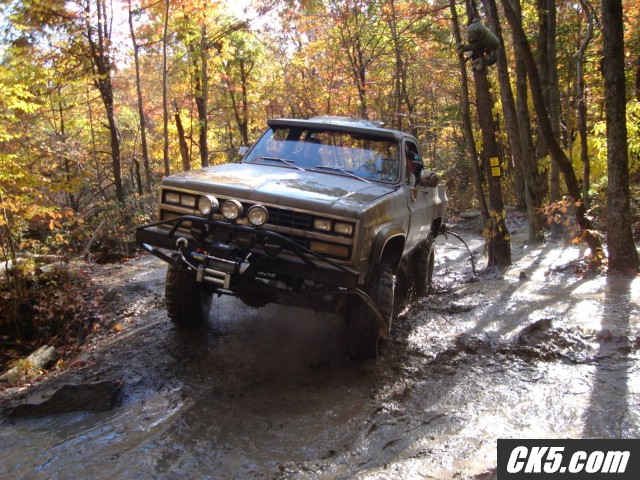 Rausch 10-20