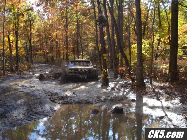 Rausch 10-20