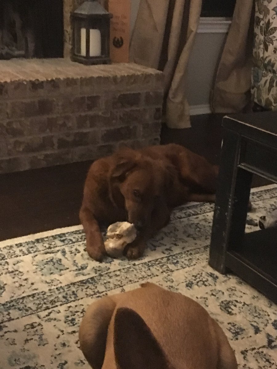 Rawhide