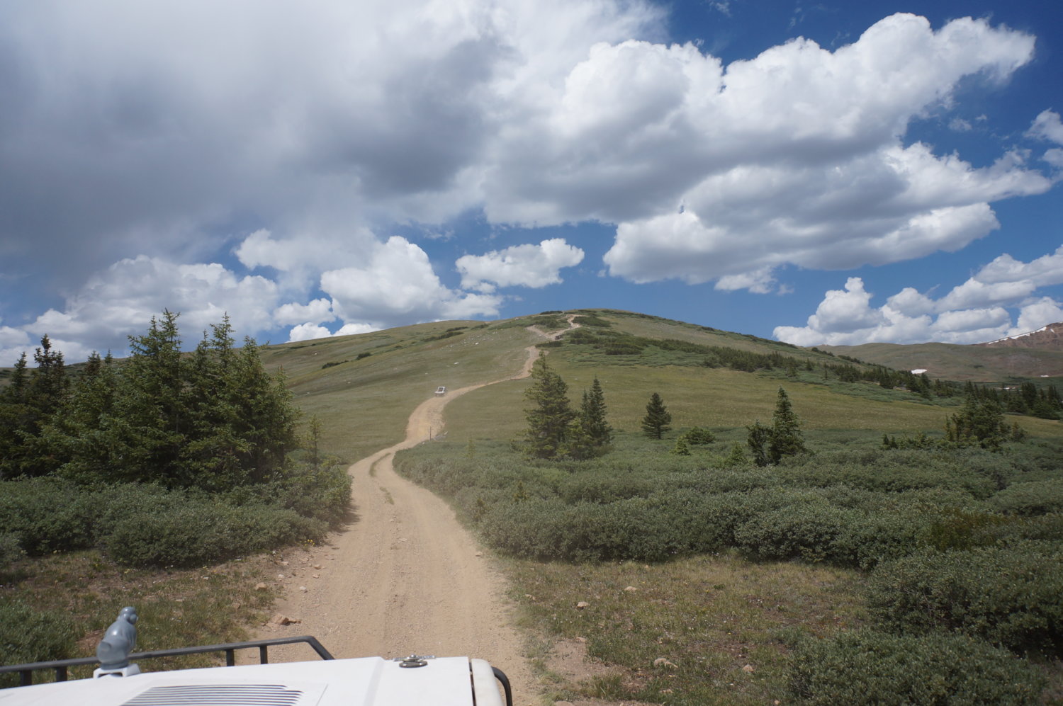 Reaching treeline