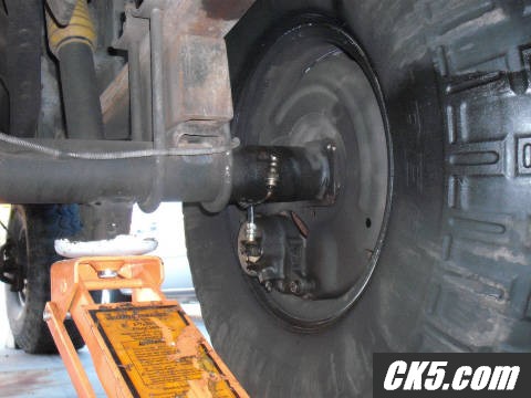 rear disc carnage