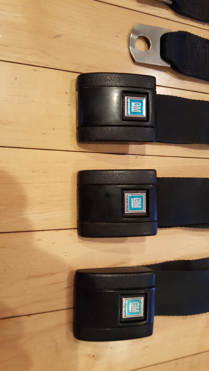 rear seat belts 2