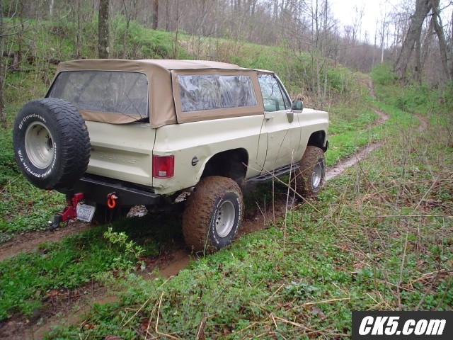 Rear_new_paint_Trout