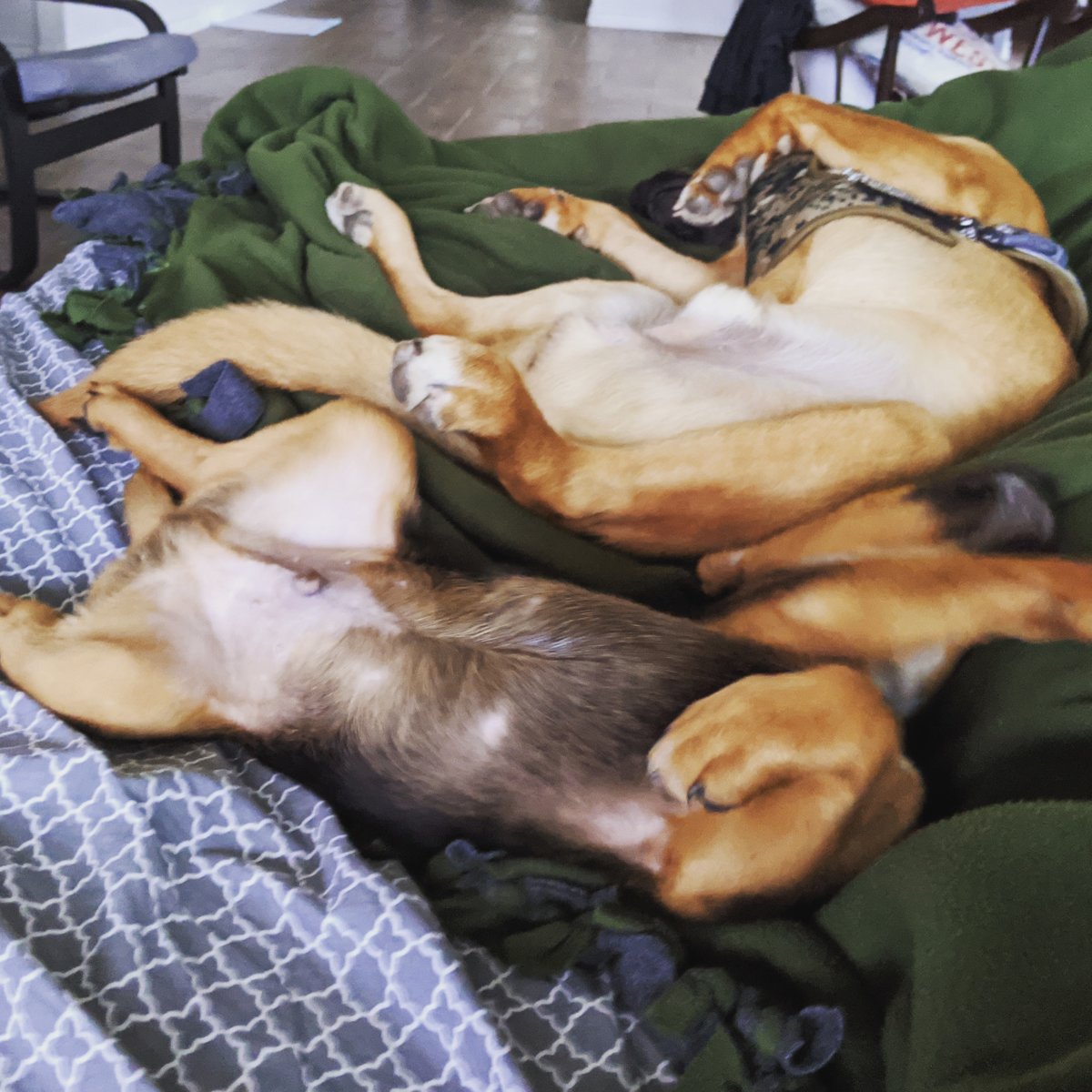 Relaxation Achieved