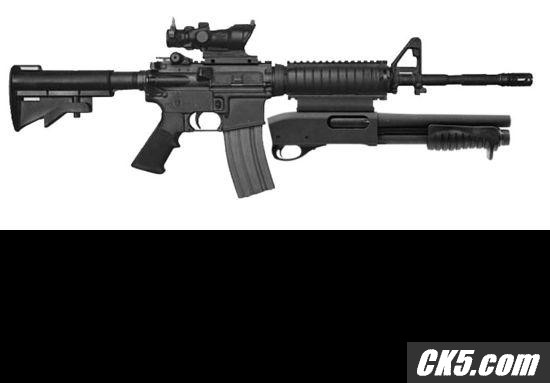 rem870mcs_ax