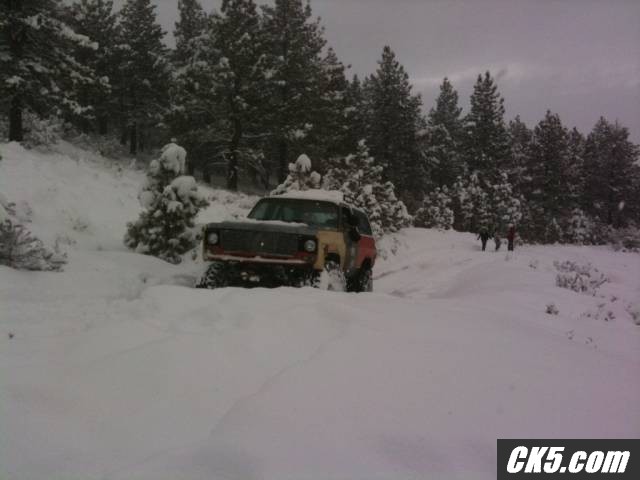 rescuing snow-newbs