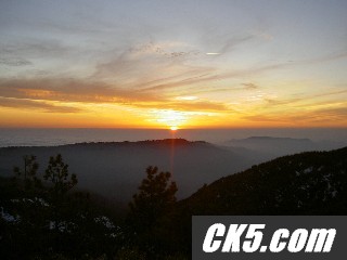resizedPicture_613