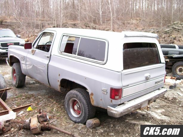 roadkill3