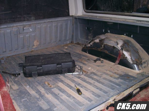 roadkillint1