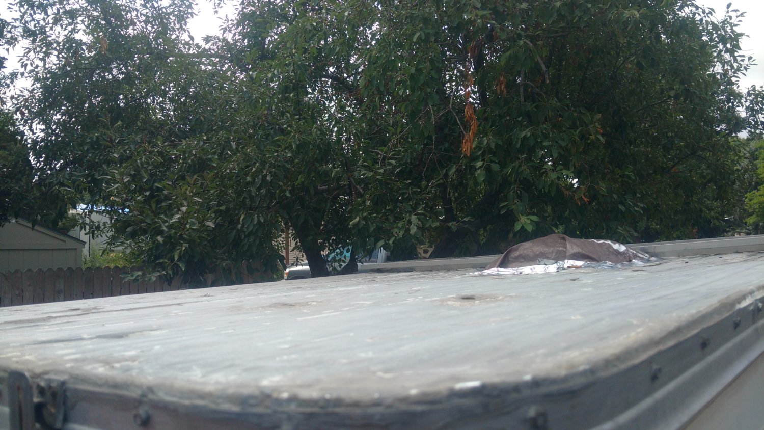 Roof