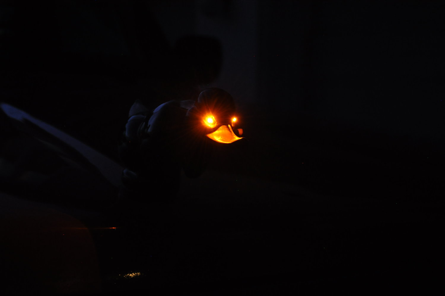 rrrrrrr